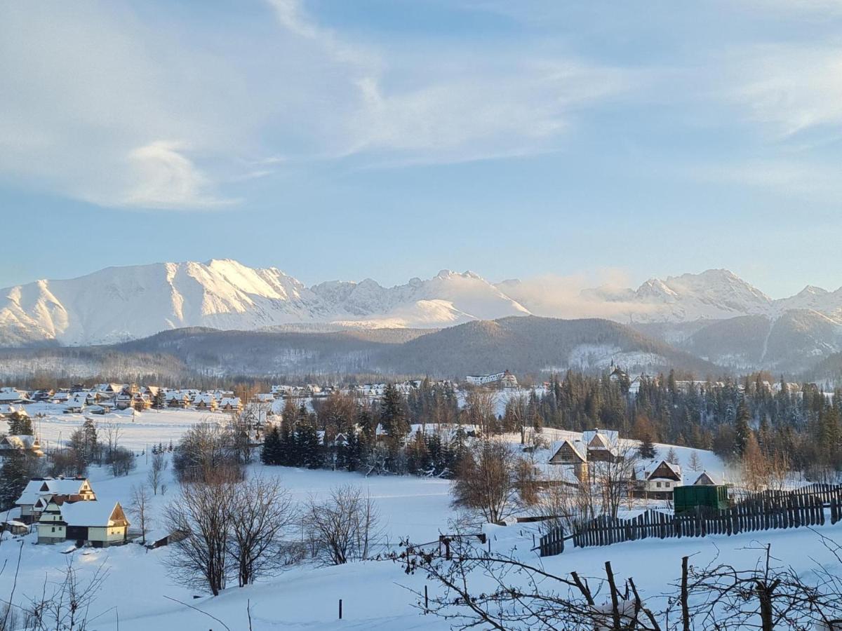Villa Dorota ซาโกปาเน ภายนอก รูปภาพ